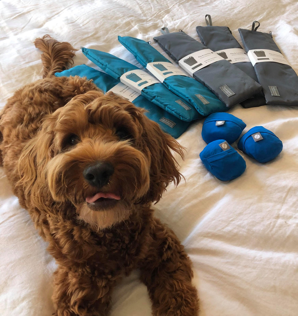 New shipment arrived!