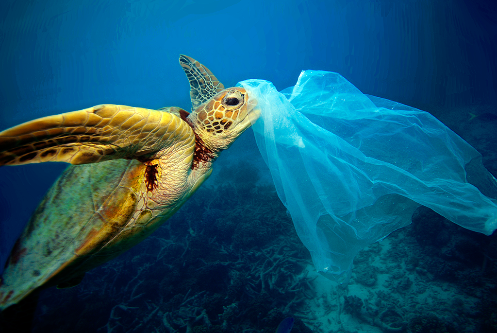 Why using reusable non plastic bags is best.